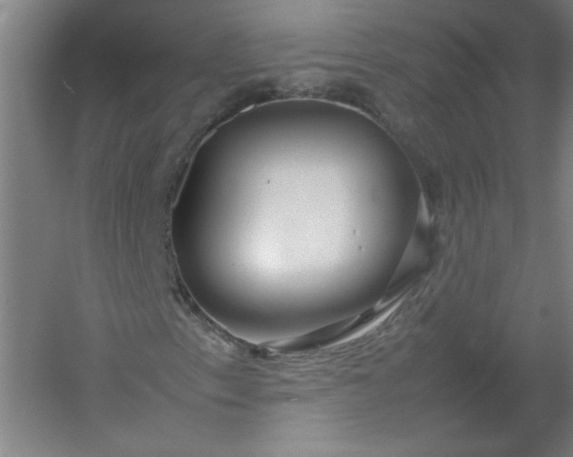 X0000054411153200508121718