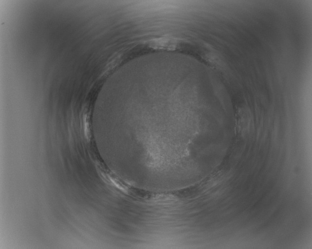 X0000054411154200508121718