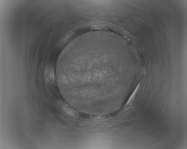 X0000054411155200508121718