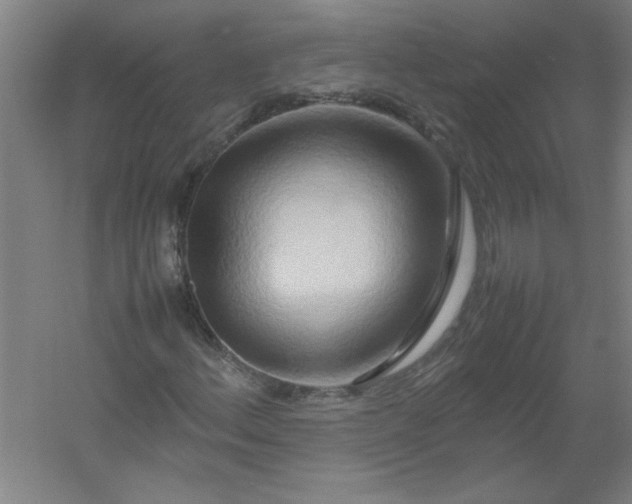 X0000054411156200508121718