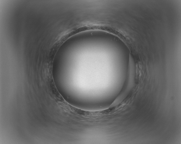 X0000054411157200508121718