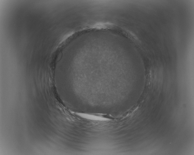 X0000054411158200508121718