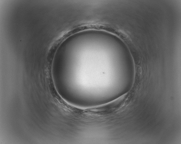 X0000054411159200508121717