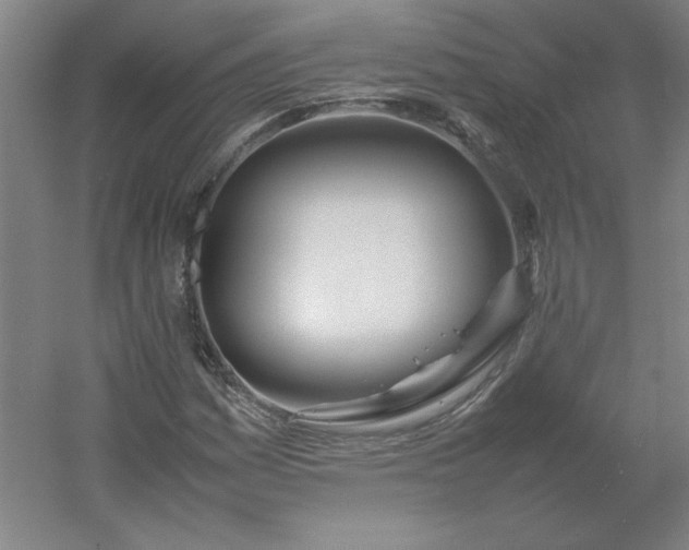 X0000054411161200508121717