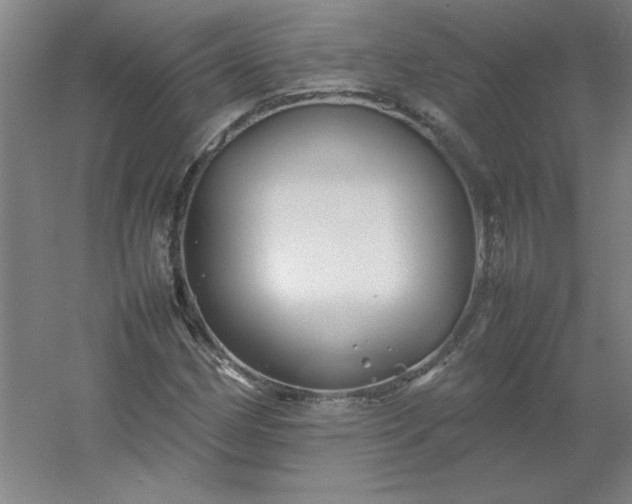 X0000054411162200508121717