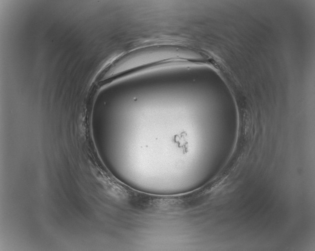 X0000054411163200508121717