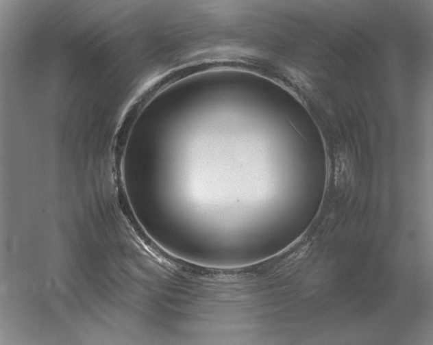 X0000054411164200508121717