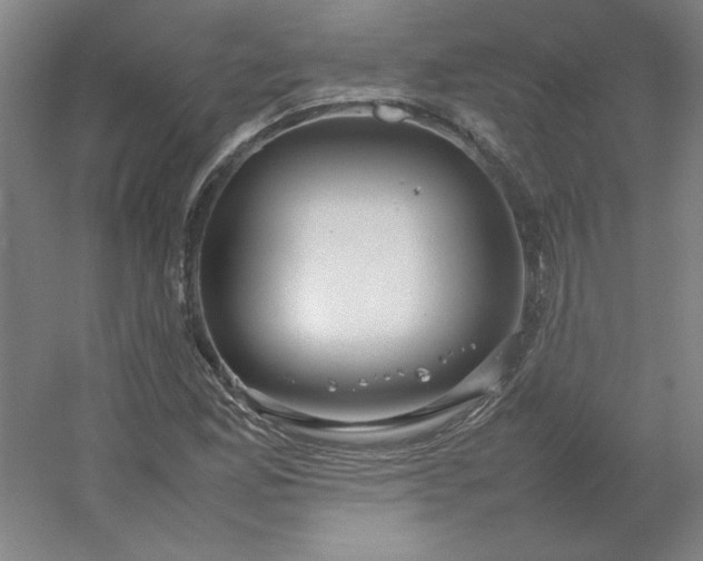 X0000054411165200508121717