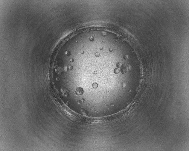 X0000054411166200508121717