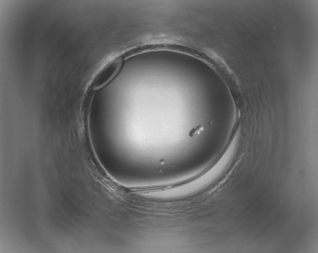 X0000054411167200508121717