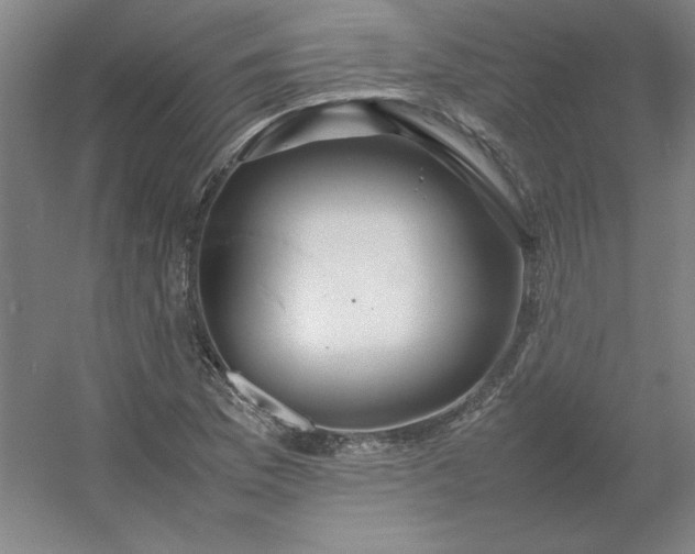 X0000054411169200508121717