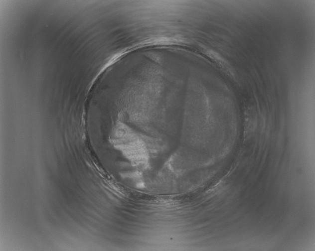 X0000054411170200508121717