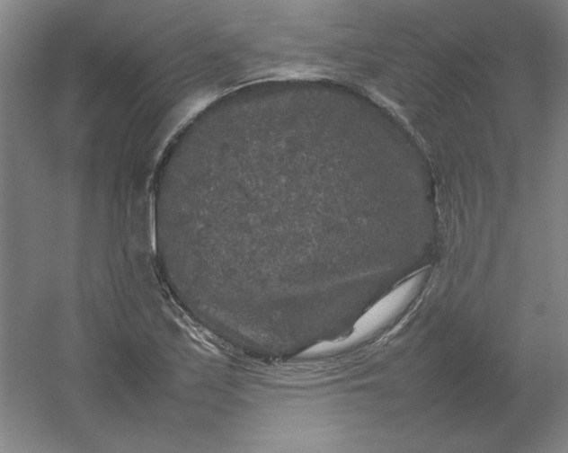 X0000054411171200508121717