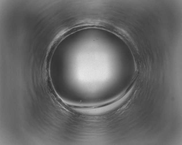 X0000054411172200508121717