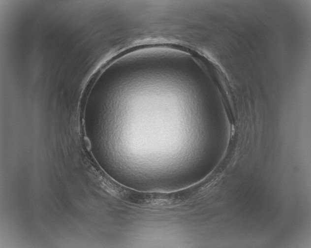 X0000054411173200508121717