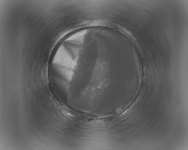 X0000054411174200508121717