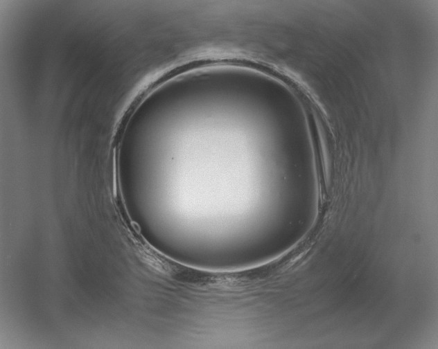 X0000054411175200508121717