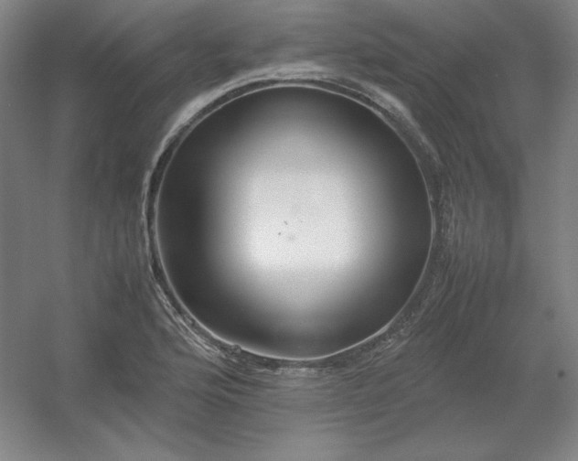 X0000054411176200508121717