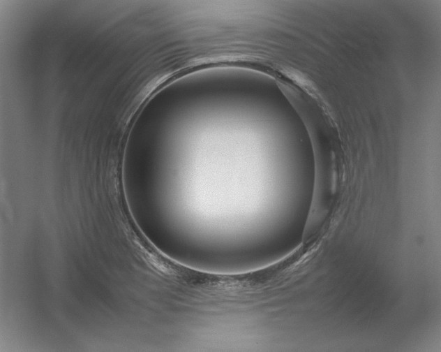 X0000054411177200508121717