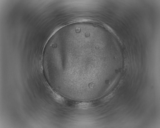 X0000054411178200508121717