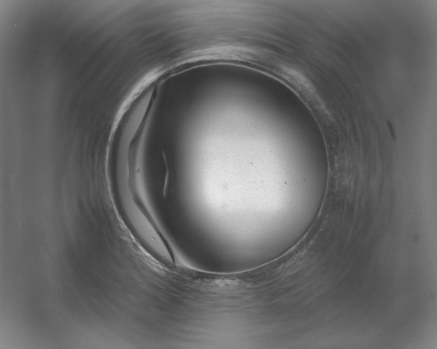 X0000054411180200508121717