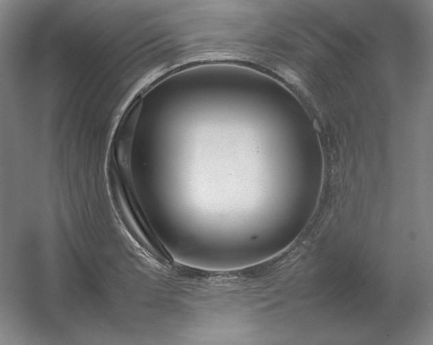 X0000054411181200508121717