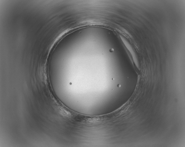 X0000054411182200508121717