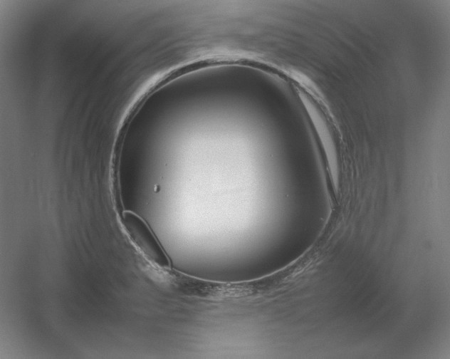 X0000054411183200508121717