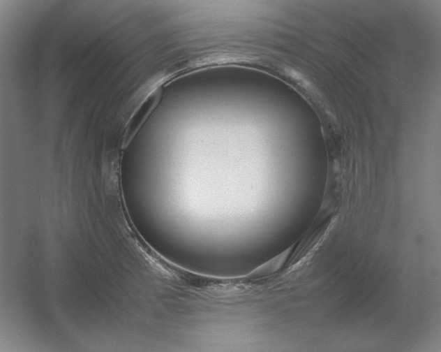 X0000054411185200508121717