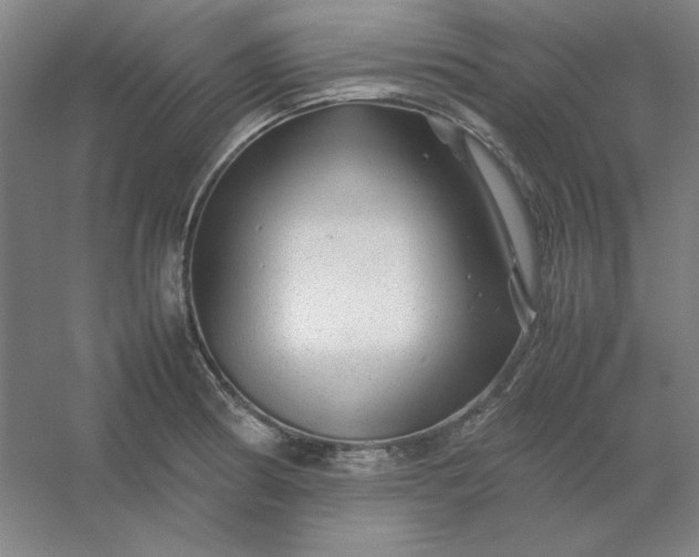 X0000054411186200508121717