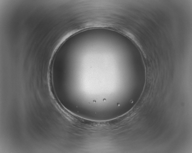 X0000054411187200508121717