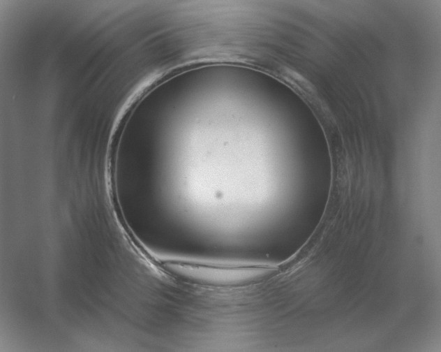 X0000054411188200508121717