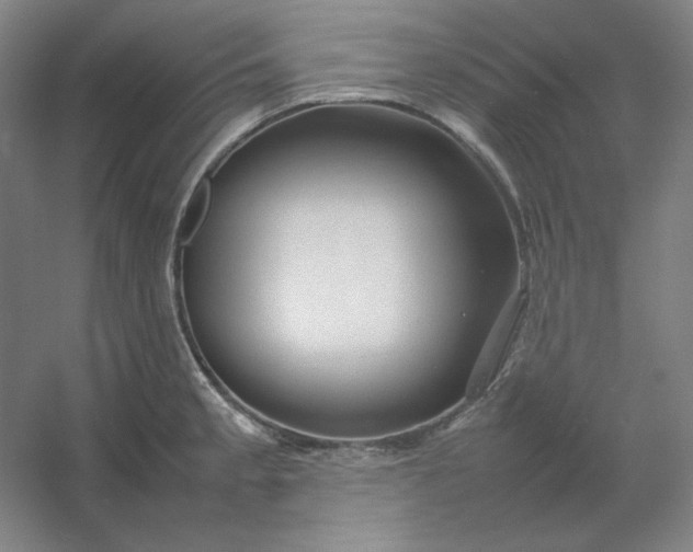 X0000054411189200508121717