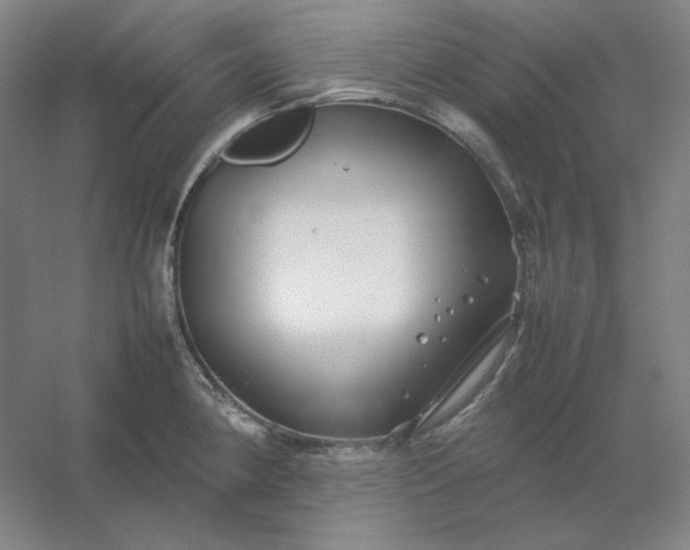 X0000054411190200508121717