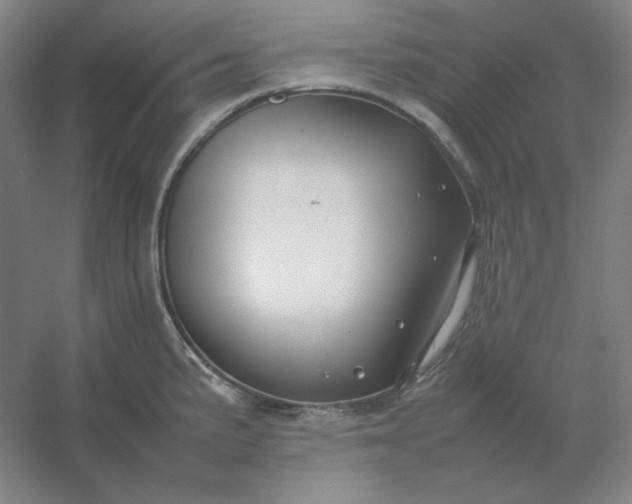 X0000054411191200508121717