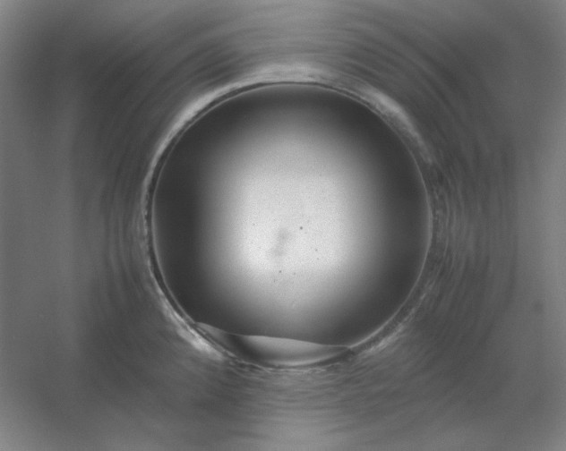 X0000054411192200508121717