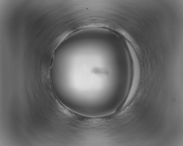 X0000054411193200508121717