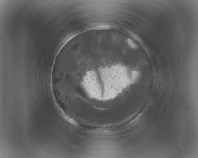 X0000054411194200508121717