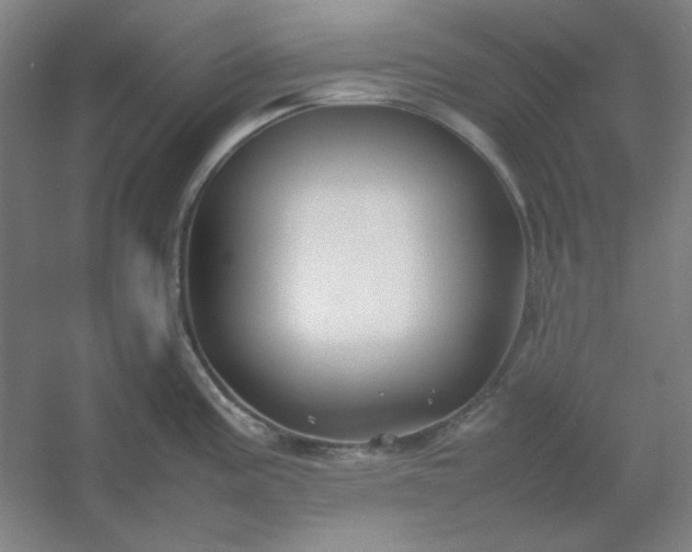 X0000054411195200508121717