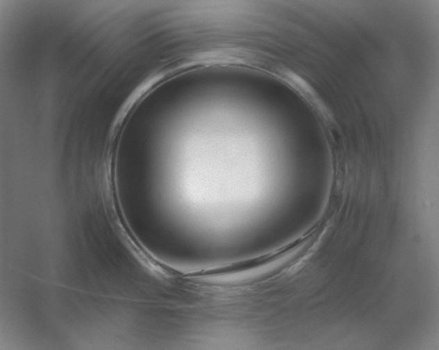 X0000054411196200508121717