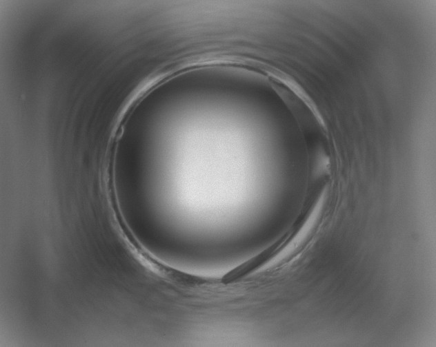 X0000054411197200508121717