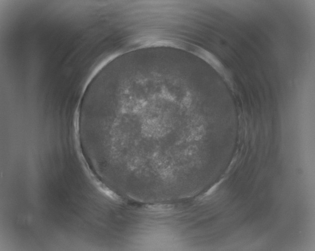 X0000054411198200508121717