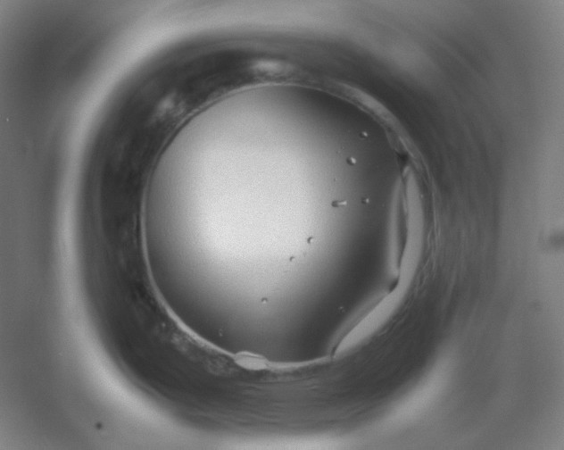 X0000054411199200508121717