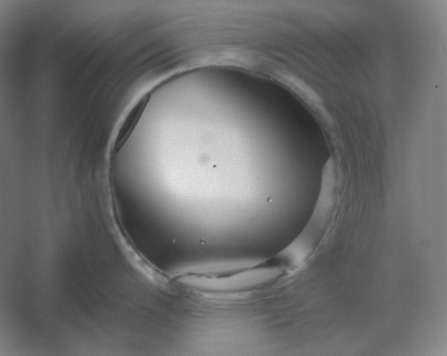 X0000054411200200508121717