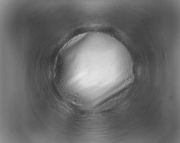 X0000054411204200508121716