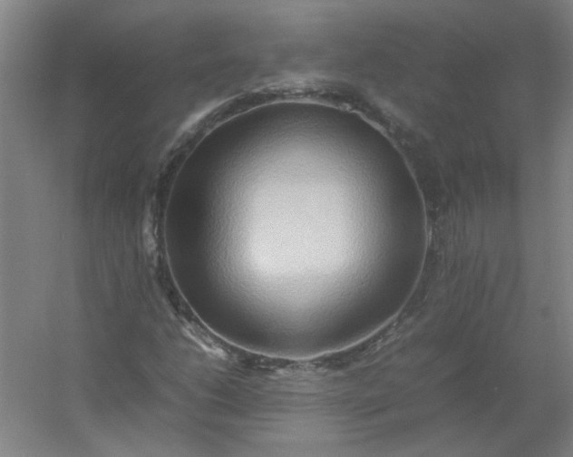 X0000054411206200508121716