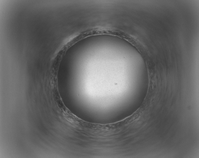 X0000054411207200508121716