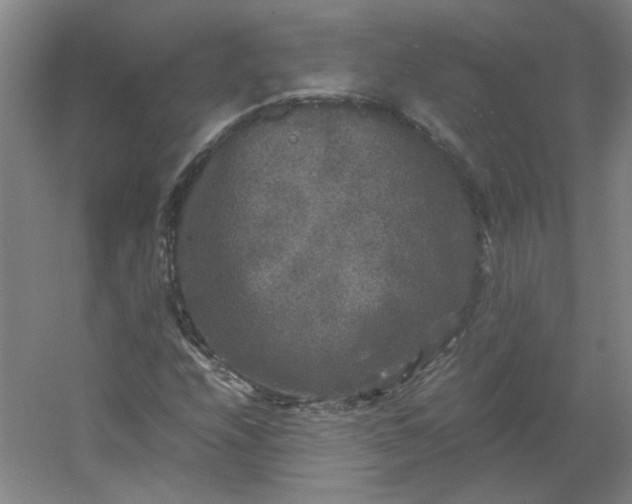 X0000054411208200508121716