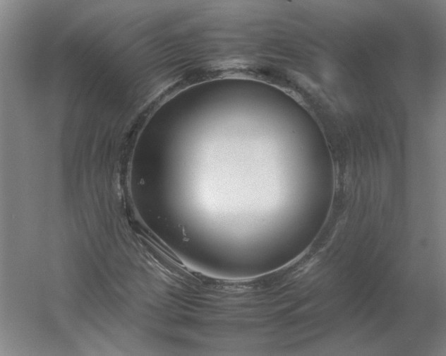 X0000054411209200508121716