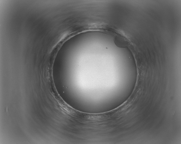 X0000054411211200508121716